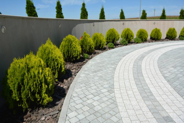Best Driveway Paver Sealing  in Salisbury, NC